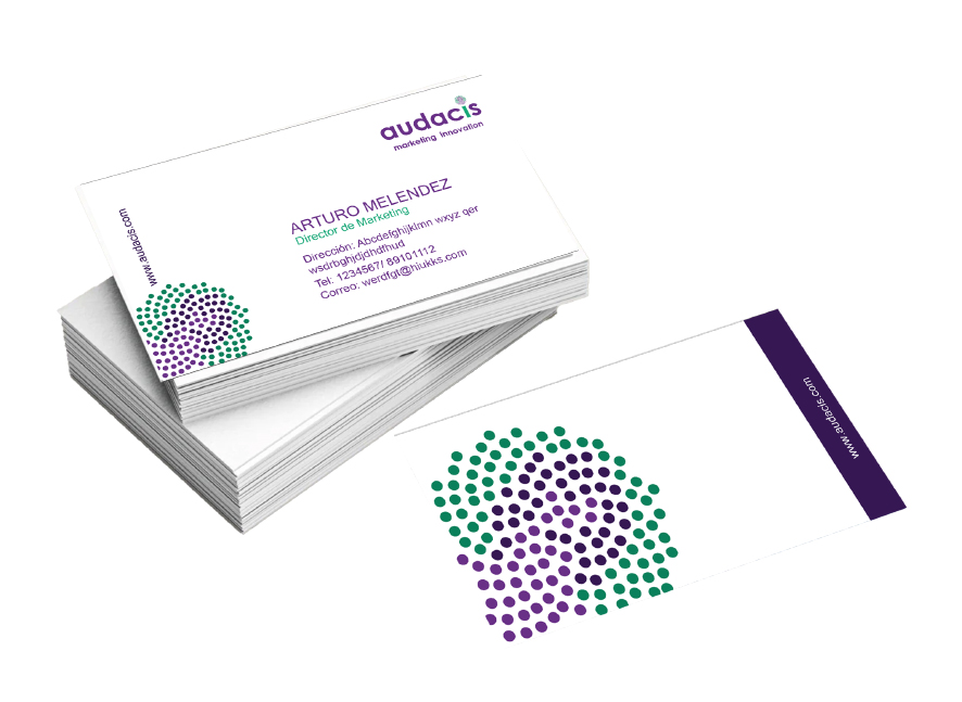 Gestaltung des Corporate Designs Audacis